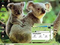 Download Koala Themes